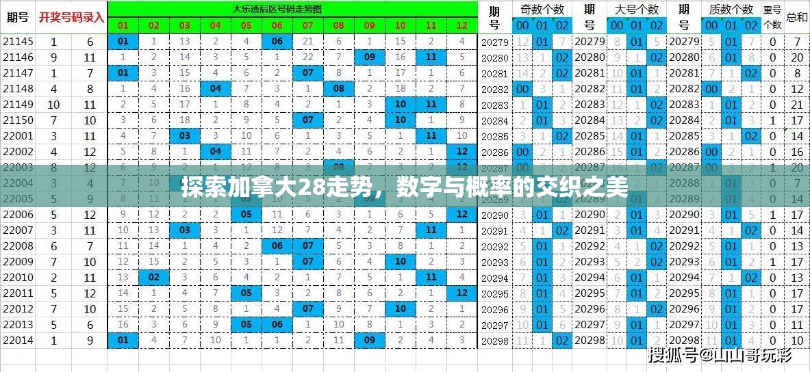 探索加拿大28走势，数字与概率的交织之美