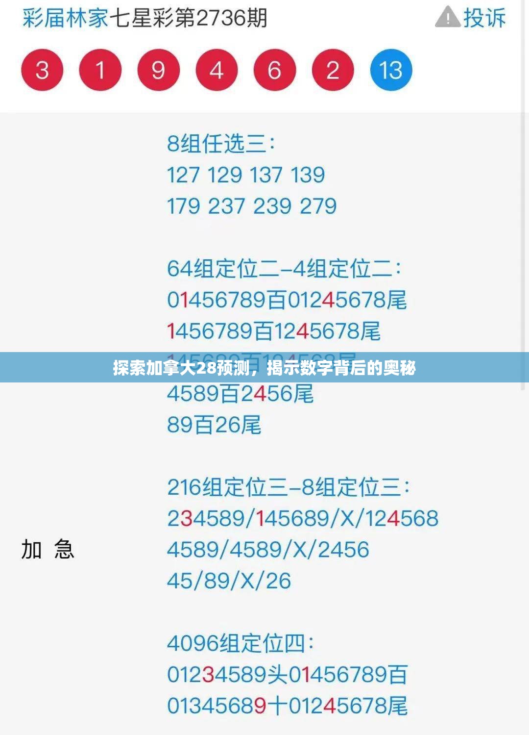 探索加拿大28预测，揭示数字背后的奥秘