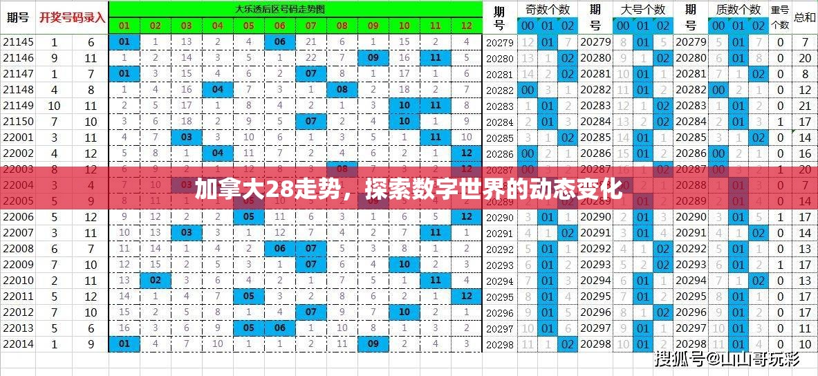 加拿大28走势，探索数字世界的动态变化