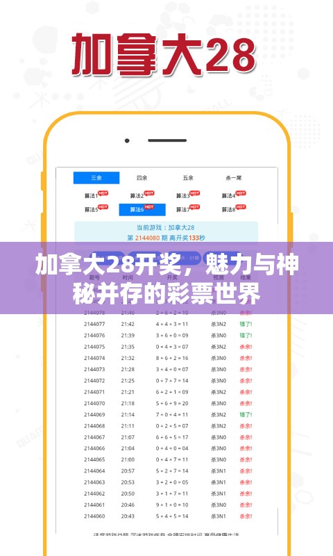 加拿大28开奖，魅力与神秘并存的彩票世界