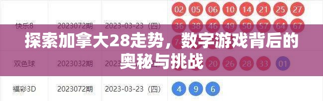 探索加拿大28走势，数字游戏背后的奥秘与挑战