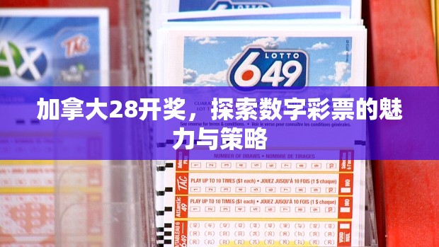 加拿大28开奖，探索数字彩票的魅力与策略