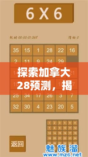 探索加拿大28预测，揭示数字游戏的奥秘与挑战