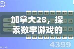 加拿大28，探索数字游戏的魅力与机遇