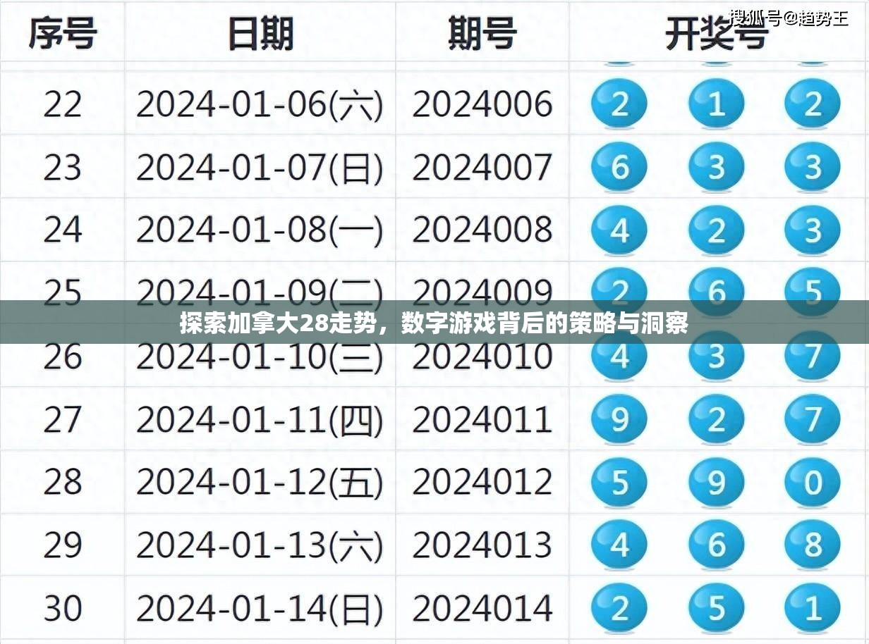 探索加拿大28走势，数字游戏背后的策略与洞察