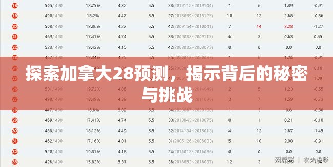 探索加拿大28预测，揭示背后的秘密与挑战