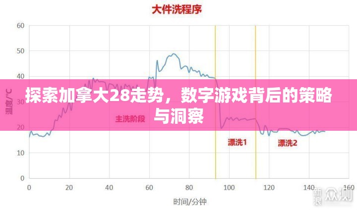 探索加拿大28走势，数字游戏背后的策略与洞察