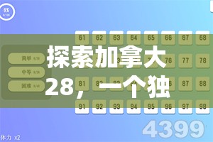 探索加拿大28，一个独特的数字背后的故事与魅力