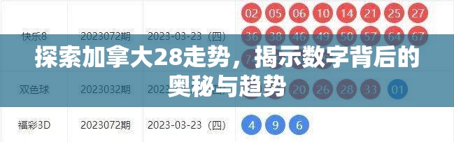 探索加拿大28走势，揭示数字背后的奥秘与趋势