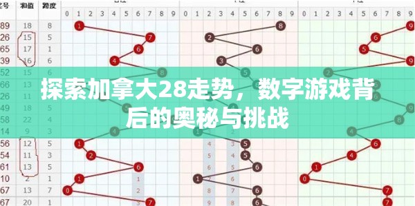 探索加拿大28走势，数字游戏背后的奥秘与挑战