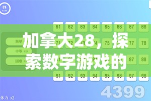 探索加拿大28预测，揭示未来的可能性与挑战