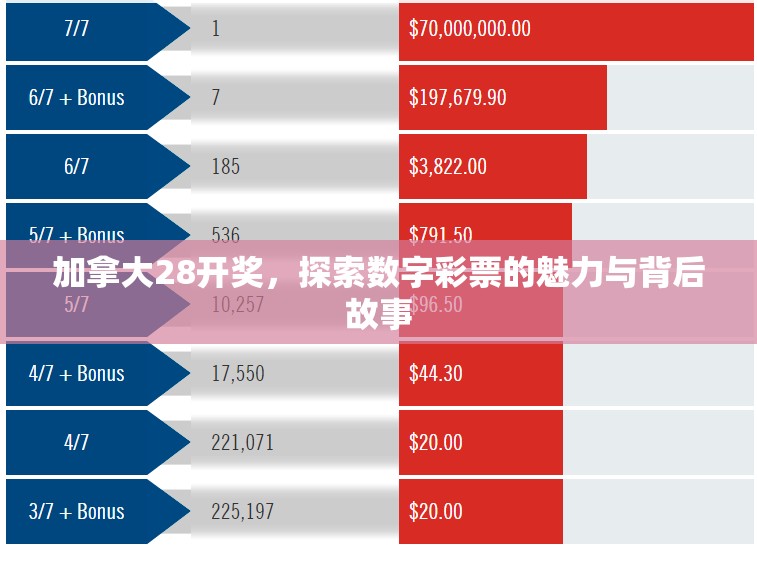 加拿大28开奖，探索数字彩票的魅力与背后故事