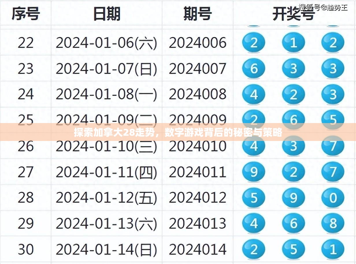 探索加拿大28走势，数字游戏背后的秘密与策略