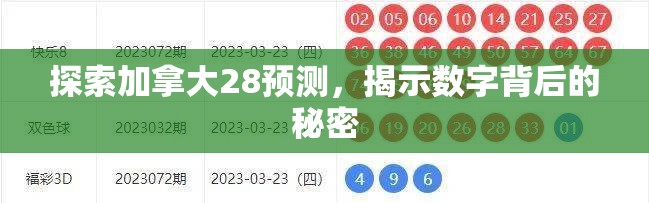 探索加拿大28预测，揭示数字背后的秘密