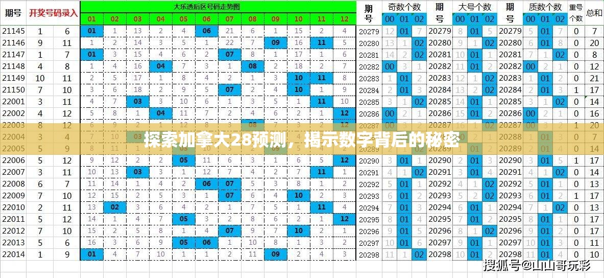 探索加拿大28预测，揭示数字背后的秘密