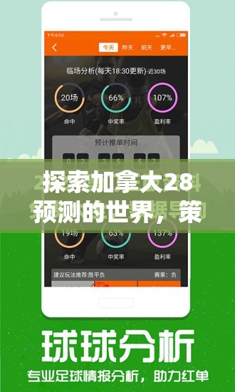 探索加拿大28预测的世界，策略、技巧与未来展望