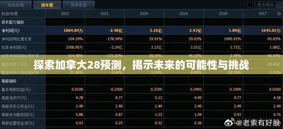 探索加拿大28预测，揭示未来的可能性与挑战