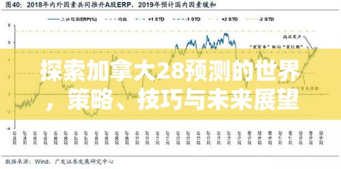 探索加拿大28预测的世界，策略、技巧与未来展望