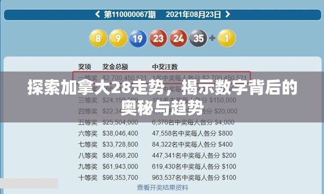 探索加拿大28走势，揭示数字背后的奥秘与趋势