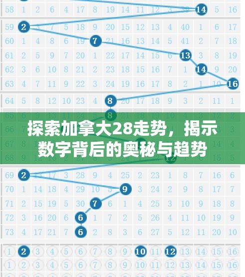 探索加拿大28走势，揭示数字背后的奥秘与趋势