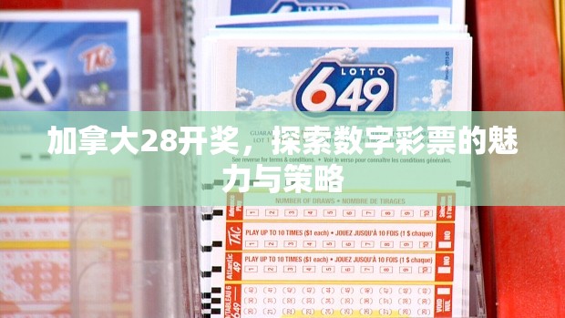 加拿大28开奖，探索数字彩票的魅力与策略