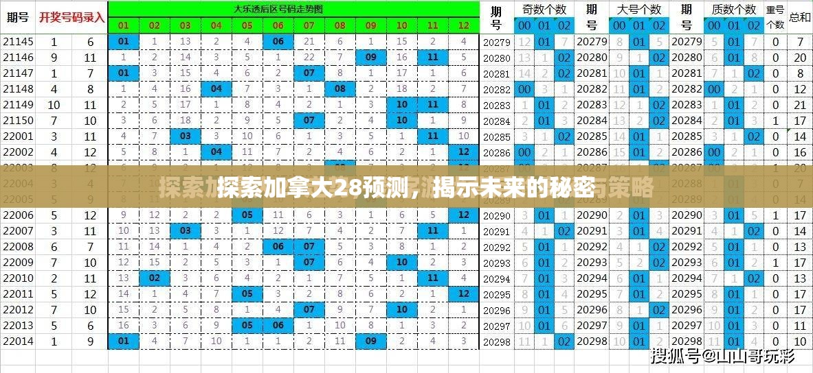 探索加拿大28预测，揭示未来的秘密