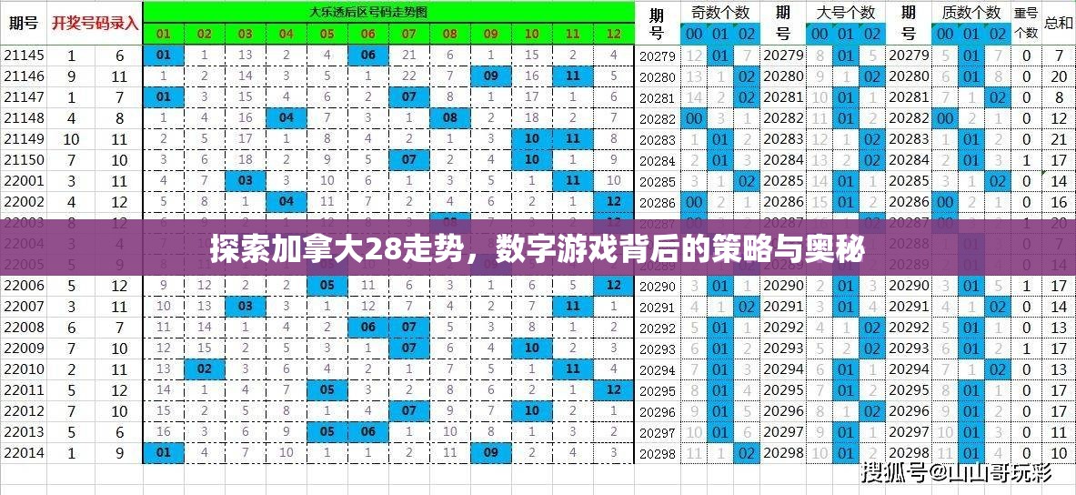 探索加拿大28走势，数字游戏背后的策略与奥秘