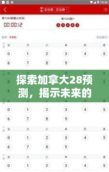 探索加拿大28预测，揭示未来的秘密