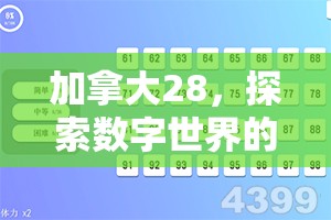 加拿大28，探索数字世界的新领域