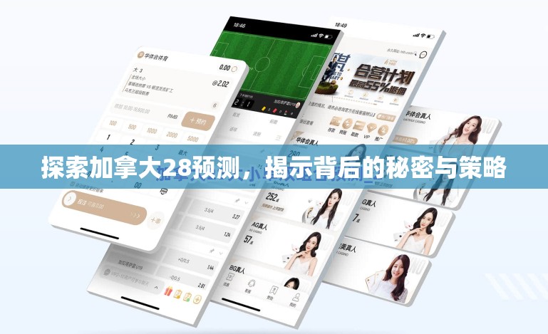 探索加拿大28预测，揭示背后的秘密与策略