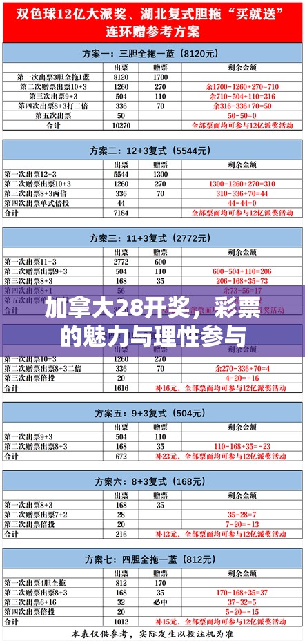 加拿大28开奖，彩票的魅力与理性参与