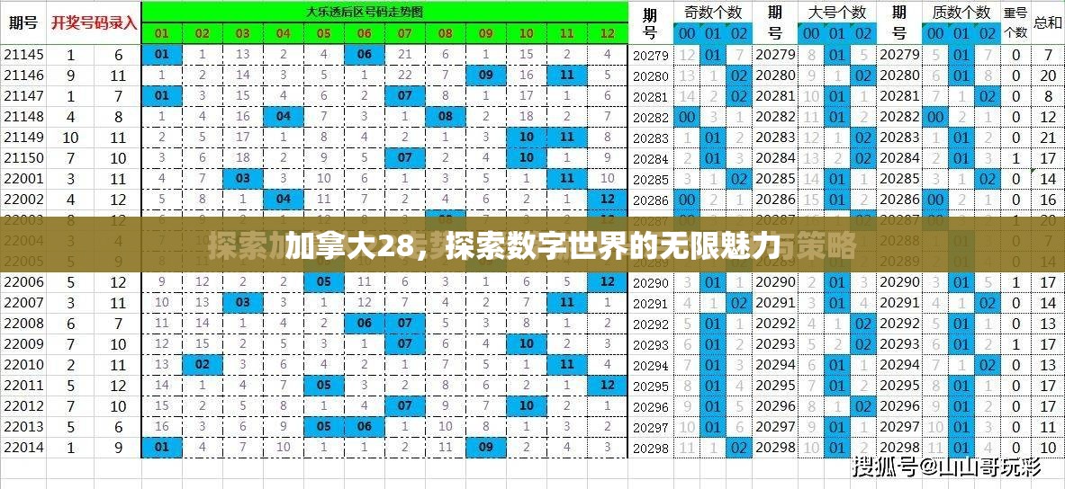 加拿大28，探索数字世界的无限魅力