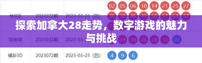 探索加拿大28走势，数字游戏的魅力与挑战