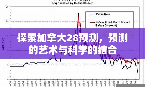 探索加拿大28预测，预测的艺术与科学的结合