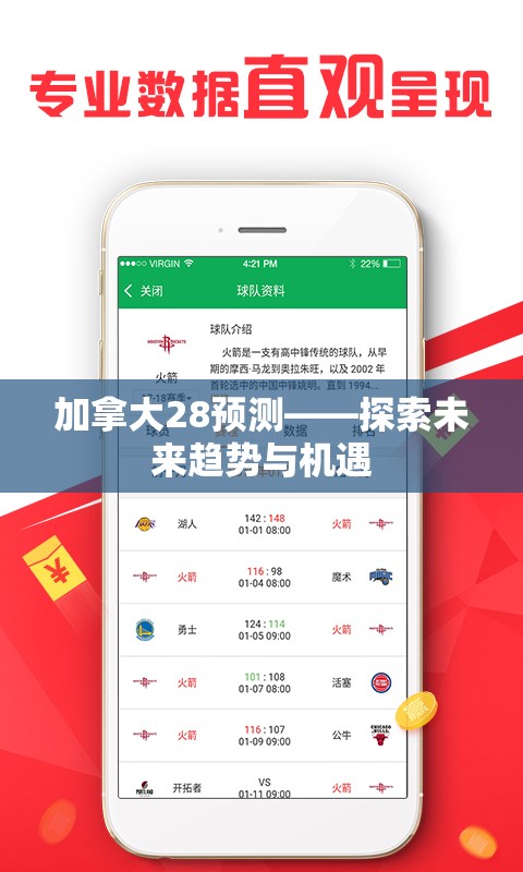 加拿大28预测——探索未来趋势与机遇