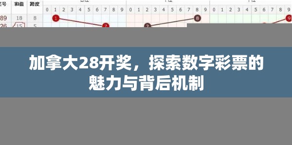 加拿大28开奖，探索数字彩票的魅力与背后机制