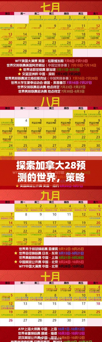 探索加拿大28预测的世界，策略、技巧与未来展望