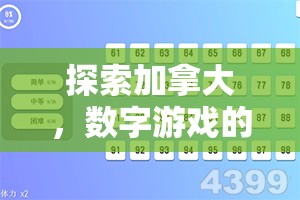 探索加拿大，数字游戏的新天地——加拿大28