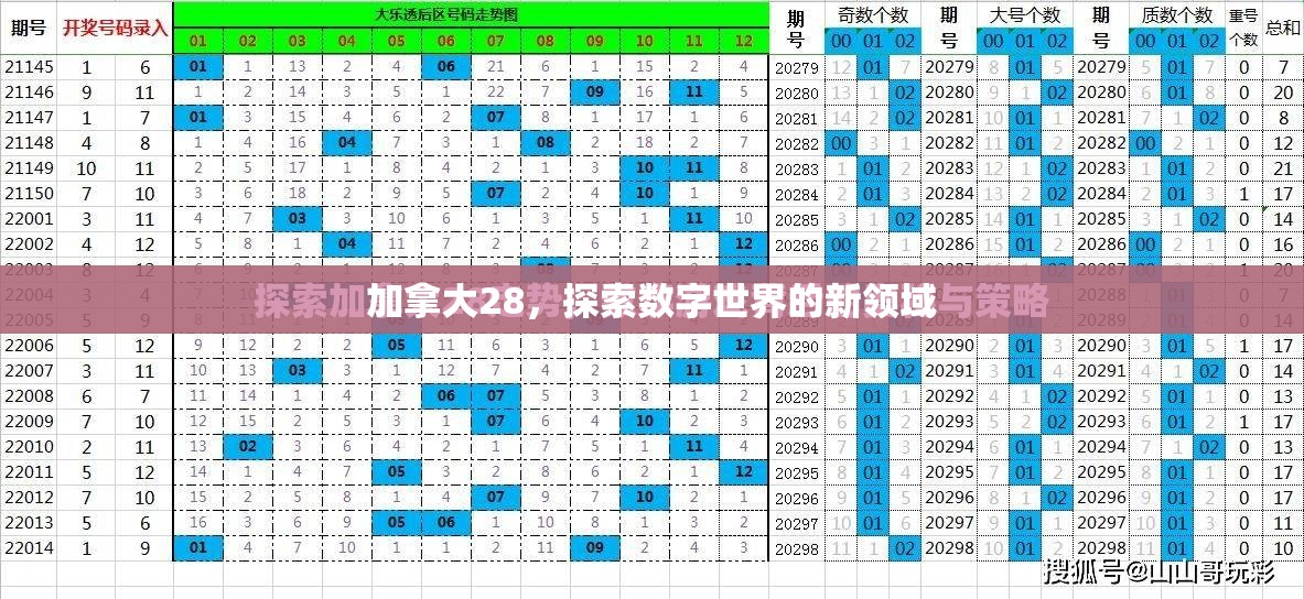 加拿大28，探索数字世界的新领域