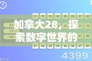 加拿大28，探索数字世界的新领域