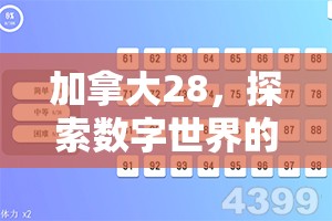 加拿大28，探索数字世界的无限魅力