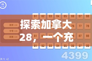 探索加拿大28，一个充满魅力的数字世界