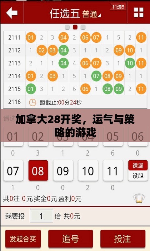 加拿大28开奖，运气与策略的游戏